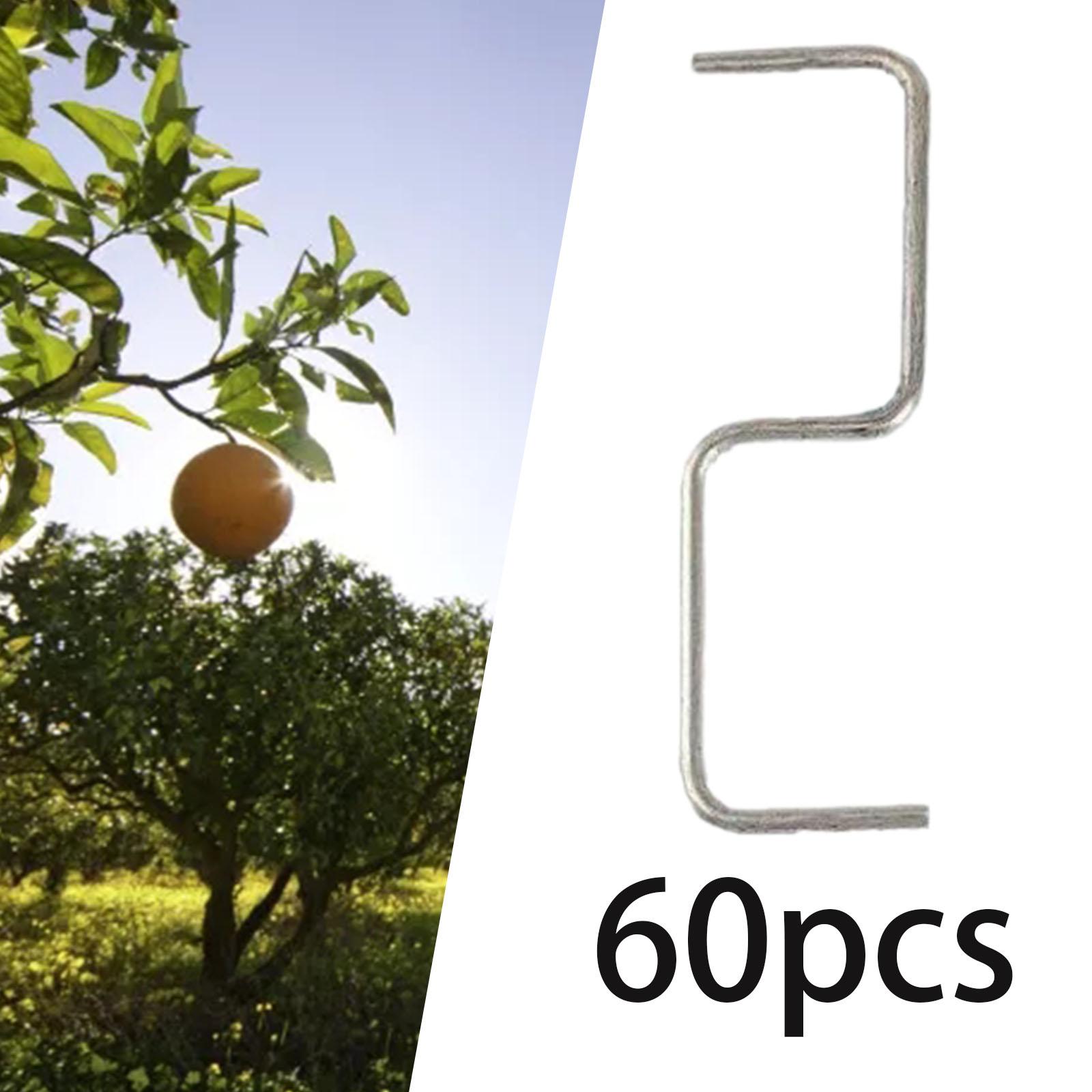 Fruit Roll Up - 60 Stück Obstbaum Ast Abzieher Zweig