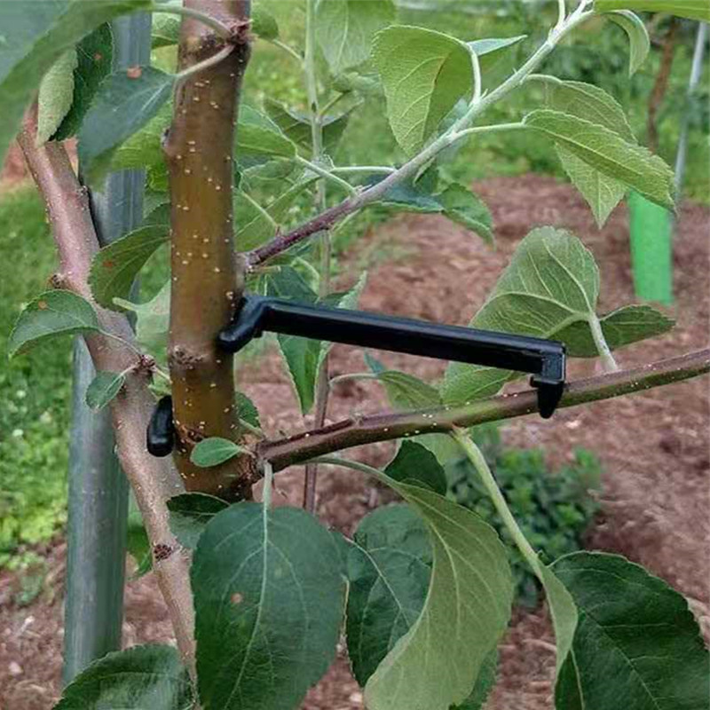Obst Baum Zweig Puller Pflanze – Fruit Roll Up Bewertung und Preis