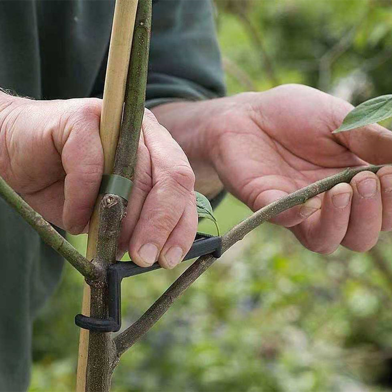 Obst Baum Zweig Puller Pflanze – Fruit Roll Up Bewertung und Preis